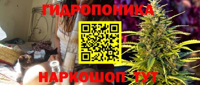 2c-b Кунгур